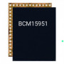 iPhone X Touch IC (BCM15951) (Original)